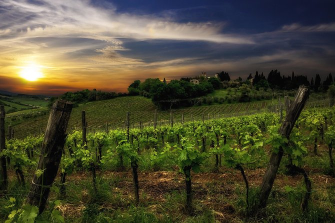 Siena: A Wine Tour and Tasting Experience - Stop four: a light lunch that feels like part of the experience