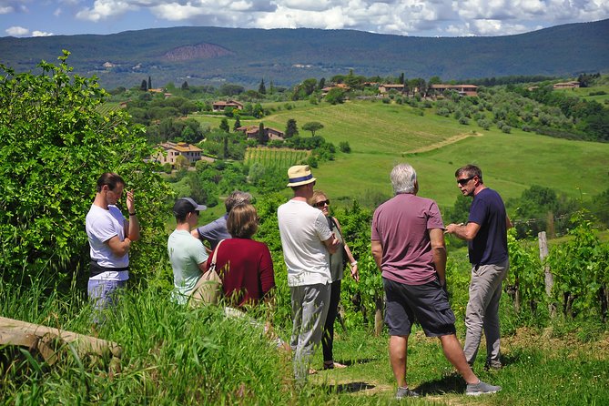 Siena: A Wine Tour and Tasting Experience - How much value do you get for $102.84?