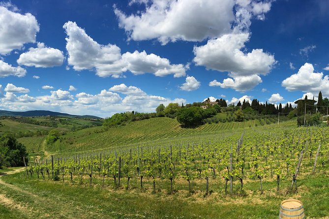 Siena: A Wine Tour and Tasting Experience - Who will enjoy this most?