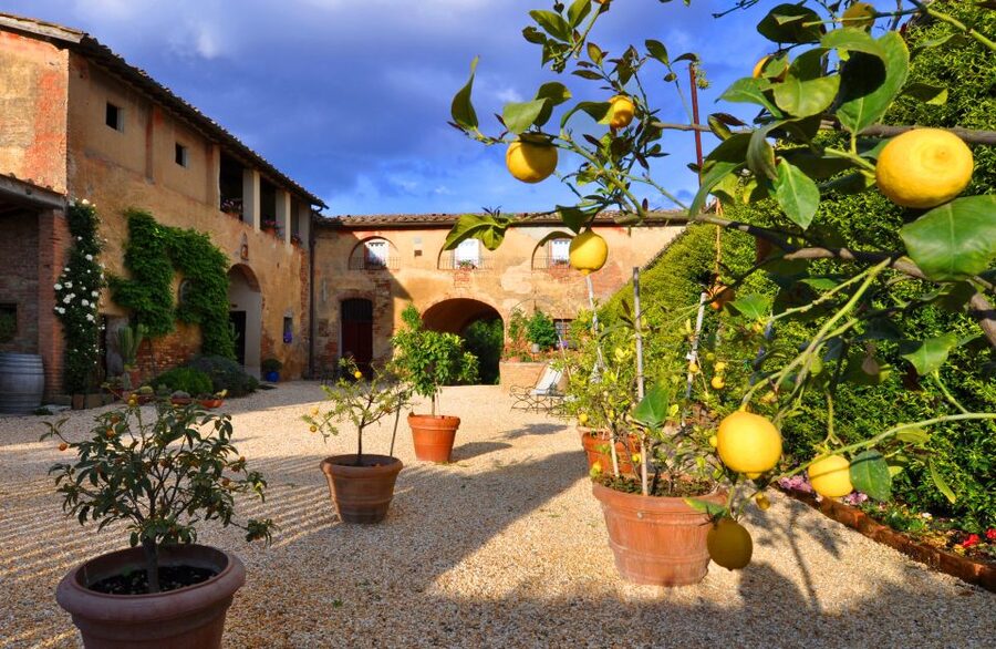 Siena: Educational Wine Tour & Tasting - Final verdict: book it if you want the full picture