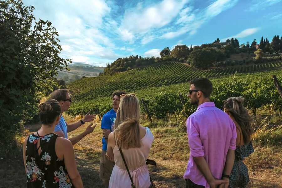 Siena: Organic Winery Tour and Wine Tasting - A small winery with a personal feel