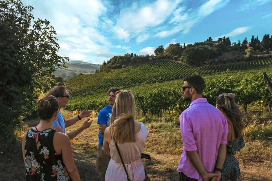 Siena: Organic Winery Tour and Wine Tasting - Walking the vineyard and reading the hillside