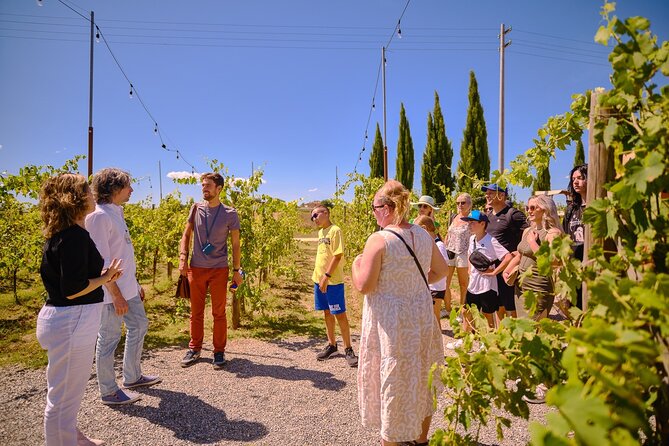 Siena, San Gimignano and Chianti Wines Day Tour from Florence - Starting at Piazzale Montelungo in Florence