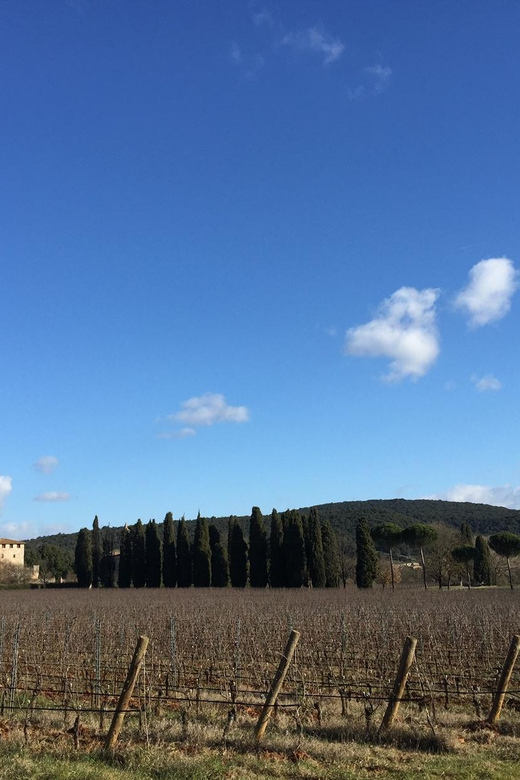 Siena: Tour and Wine Tasting in a Tuscan Private Castle - The chapel and castle grounds set the tone