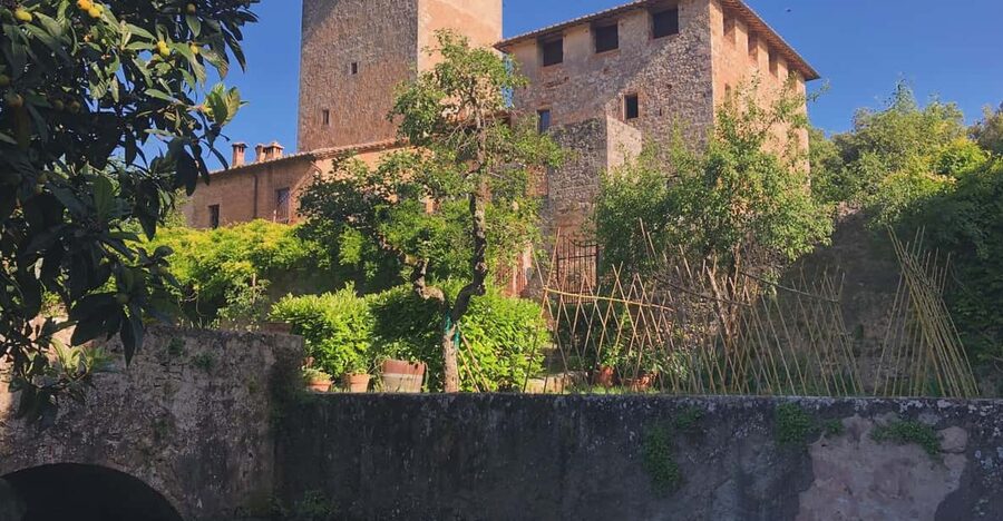 Siena: Tour and Wine Tasting in a Tuscan Private Castle - Tasting four or five organic wines