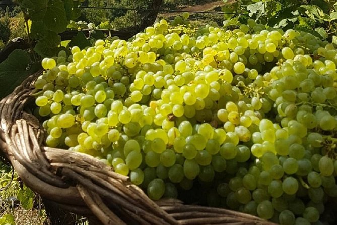 Signature Wine Tastings, Skywalk, Nature 4x4 Open Roof Expedition - Lunch near the coast, paid separately