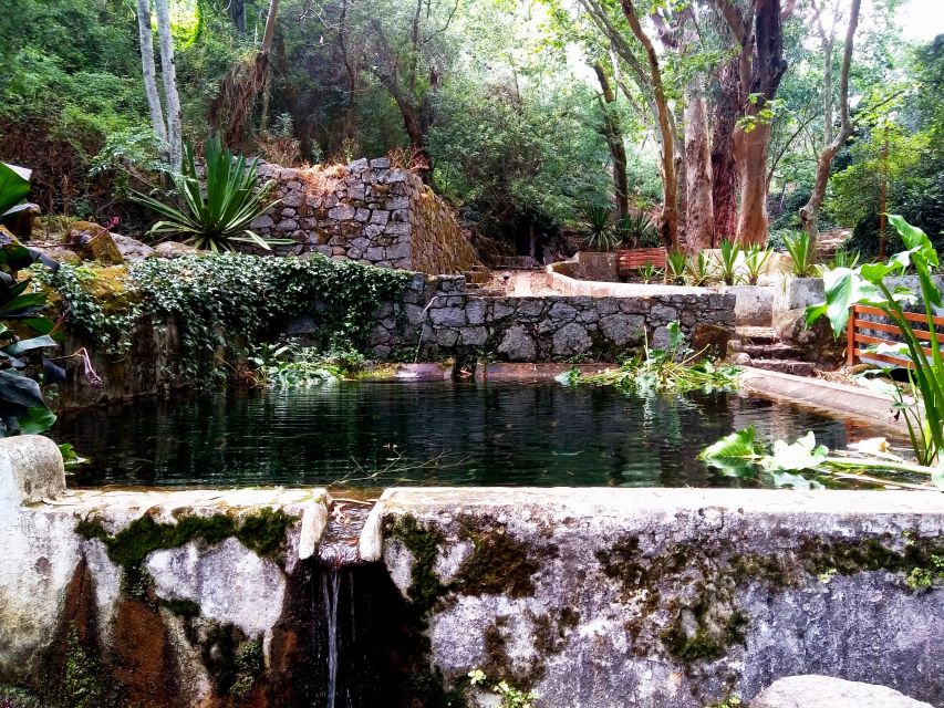 Silves, Caldas and Monchique Wine Tasting: Full Day Tour - Who should book this day tour?