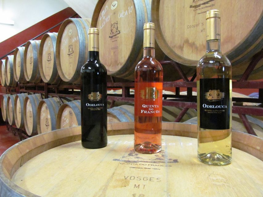 Silves, Caldas and Monchique Wine Tasting: Full Day Tour - Guides make the difference