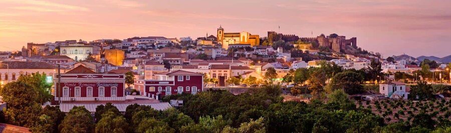 Silves History - Nature Boat Tour - free drink and Port wine - Watching for flamingos and egrets along the river