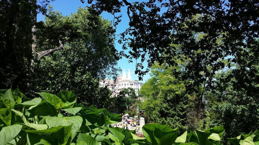 Sintra: Full-Day Tour from Lisbon with Wine Tasting - Key points to know before booking