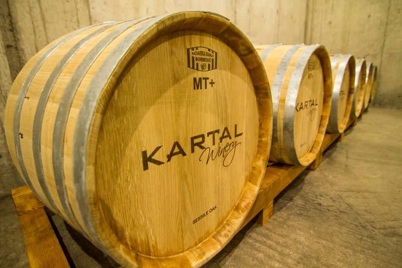 Skopje: Kartal Winery Tour - Key points to know before booking