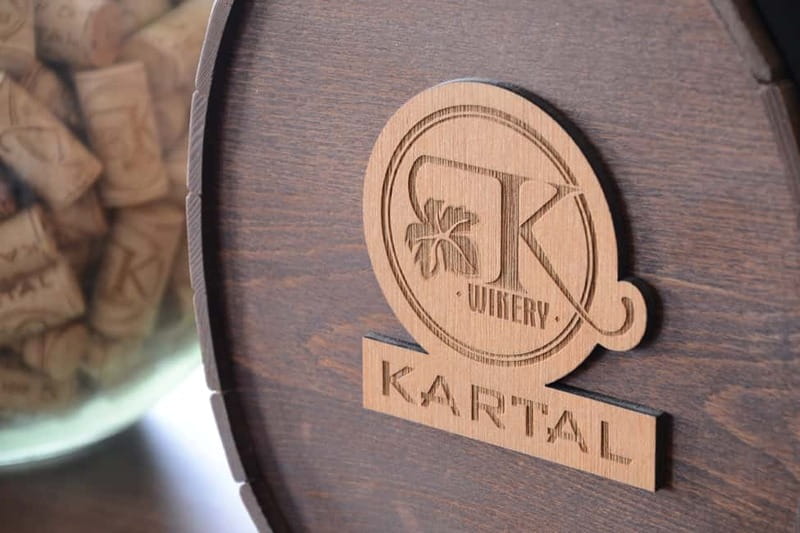 Skopje: Kartal Winery Tour - The first hour: grapes, barrels, and the family business