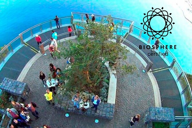 Skywalk, Amazing Views & Wine Tasting in Open Roof 4x4 Adventure - Boca dos Namorados and the first mountain views