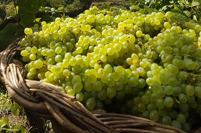 Skywalk with Wines Tasting and Vineyards Half day 4x4 Adventure - What you taste at the vineyard