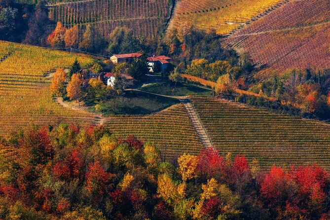 Small-Group Barolo Wine Tasting, Alba & UNESCO Piedmont Hills - Who should book this day trip?