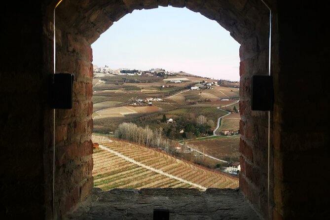 Small-Group Barolo Wine Tasting, Alba & UNESCO Piedmont Hills - The family winery and the Barolo tasting
