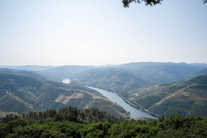 Small Group Douro Valley Wine Tour with Lunch and Cruise - The second winery adds another style of tasting