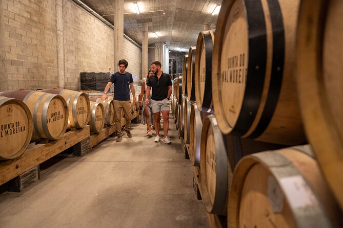 Small Group Douro Valley Wine Tour with Lunch and Cruise - Is $119.42 a good value?