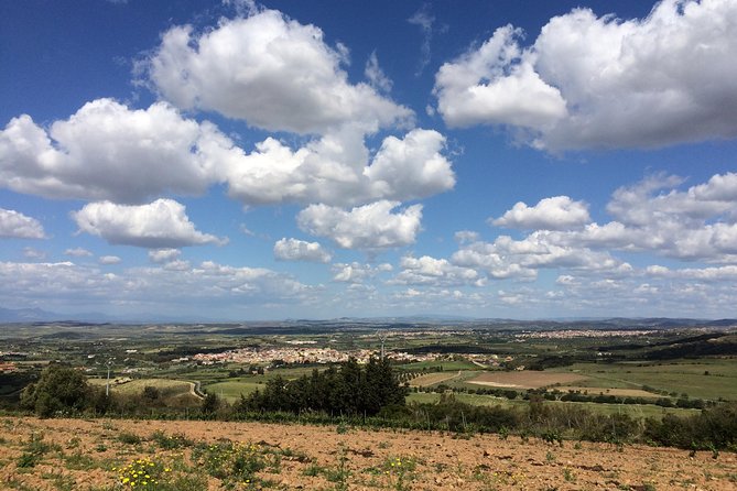 Small-Group Food and Wine Tour from Cagliari - A tasting table rather than a quick sip