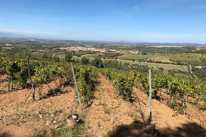Small-Group Food and Wine Tour from Cagliari - How the experience can differ from the planned route