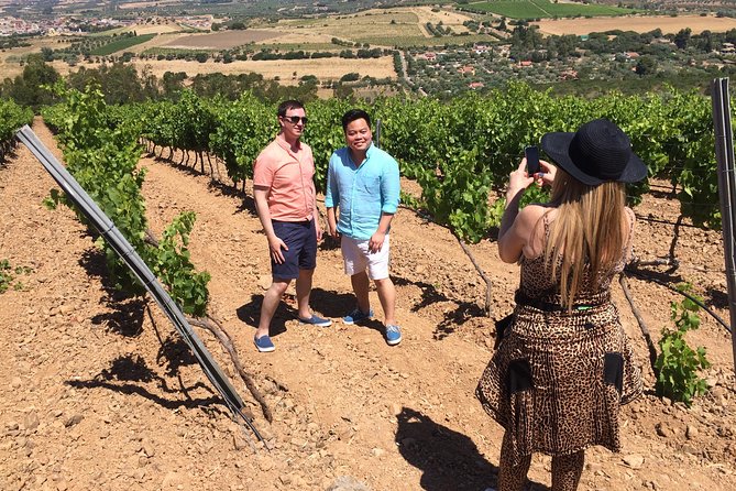 Small-Group Food and Wine Tour from Cagliari - Santa Maria di Sibiola and a quiet country stop