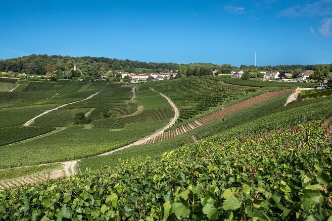 Small Group - Half Day Champagne Tour - Visit of 2 Small Producers/Growers - At a Glance: What You Get for Four Hours