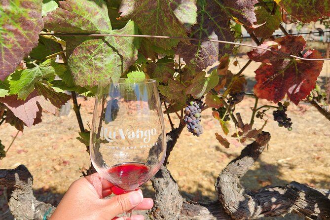 Small Group Napa and Sonoma Full-Day Wine Tour from San Francisco - Napa Valley: three tasting rooms, three different lessons