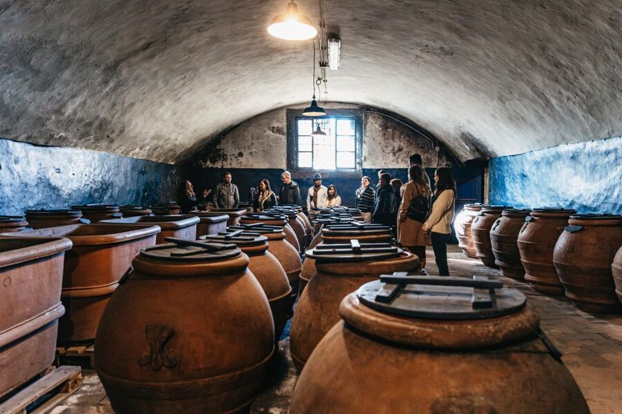 SMALL GROUP Tuscany Wine Tasting Safaris with Lunch / Dinner - The morning safari with lunch