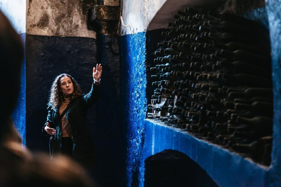 SMALL GROUP Tuscany Wine Tasting Safaris with Lunch / Dinner - Wine, olive oil, and food are treated as one subject