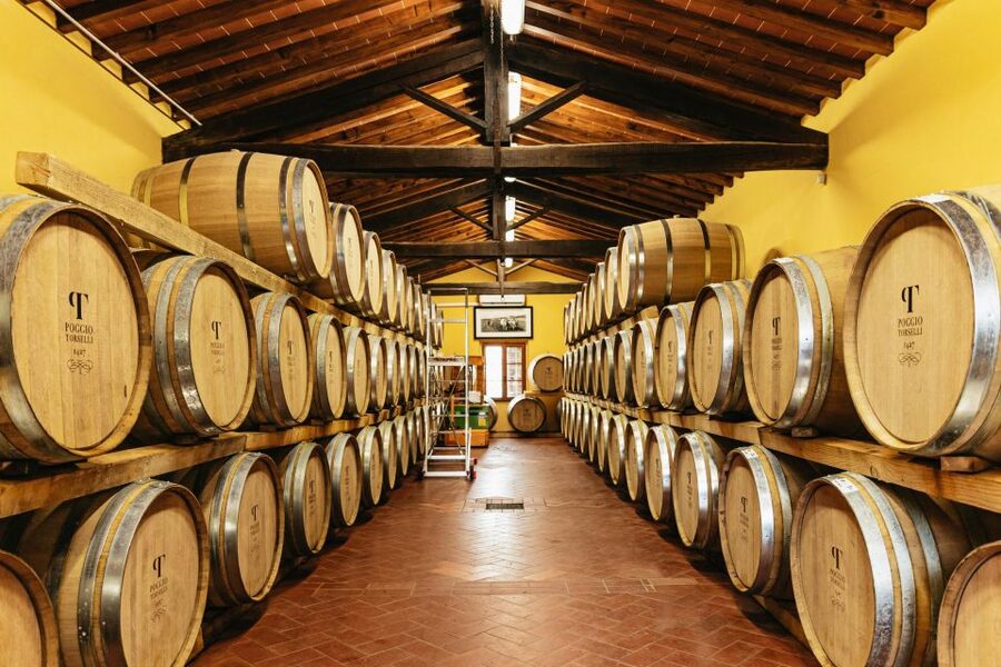 SMALL GROUP Tuscany Wine Tasting Safaris with Lunch / Dinner - Value at $153 per person