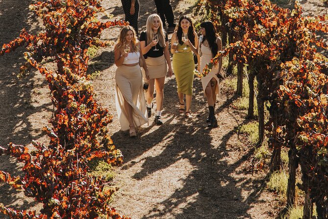 Small Group: Ultimate Napa & Sonoma Wine Tour from San Francisco - Two Hours at Sonoma Plaza