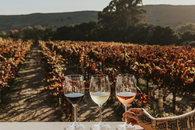 Small Group: Ultimate Napa & Sonoma Wine Tour from San Francisco - Second Winery: Sonoma’s Smaller-Scale Feel