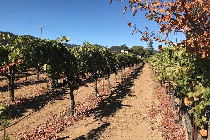 Small-Group Wine Country Tour from San Francisco with Tastings - Sonoma Plaza gives you a needed break