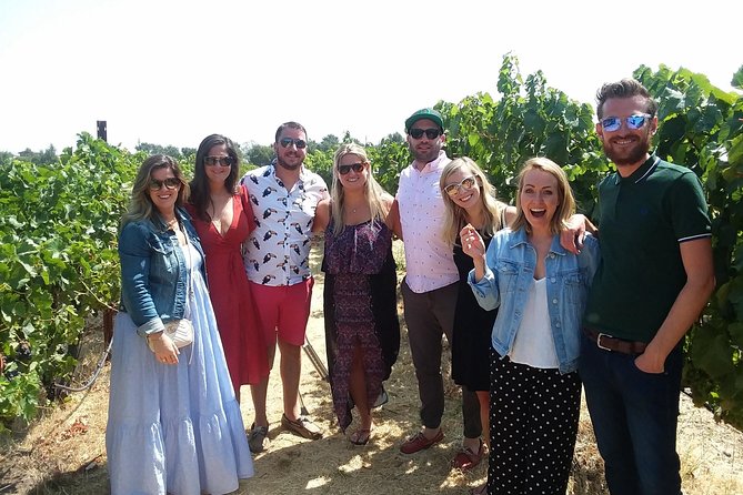 Small-Group Wine Country Tour from San Francisco with Tastings - Three wineries, three different experiences