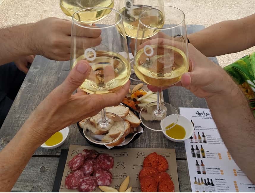 Small-Group Wine Tour from Valencia with Tastings Max 7 - Key points at a glance