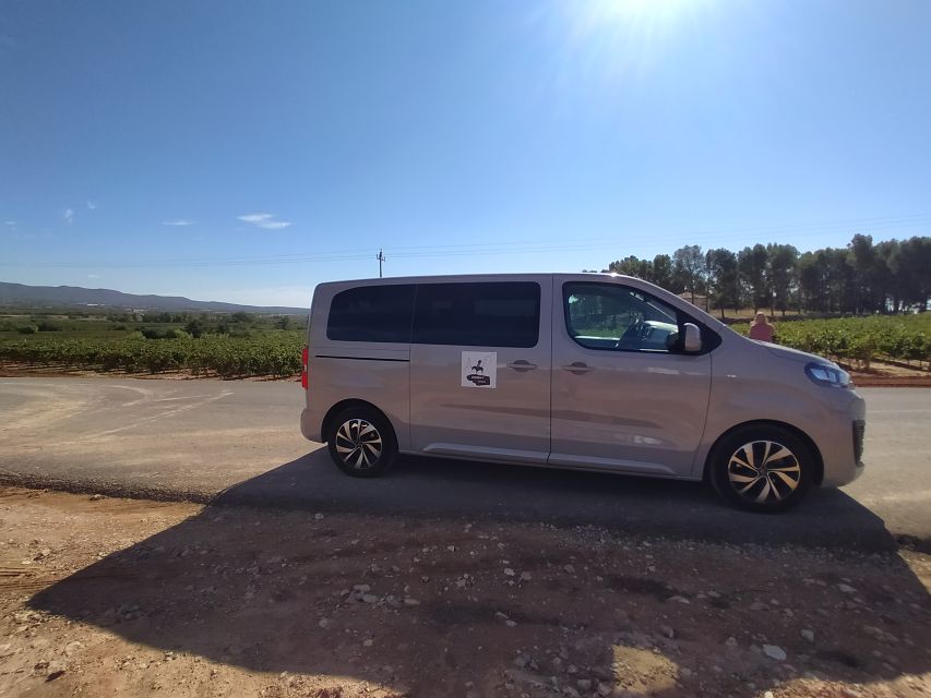 Small-Group Wine Tour from Valencia with Tastings Max 7 - Why Requena makes a good wine day from Valencia