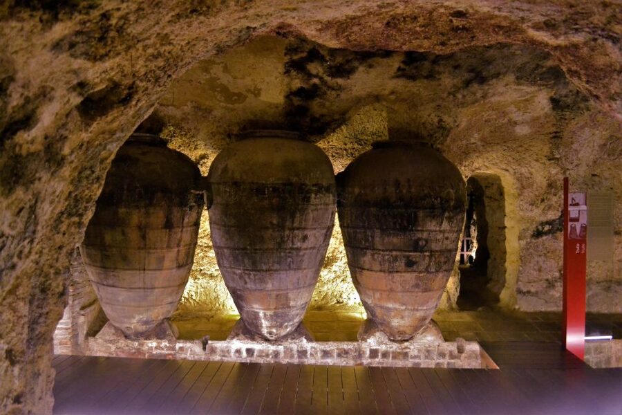 Small-Group Wine Tour from Valencia with Tastings Max 7 - Who will enjoy this outing most