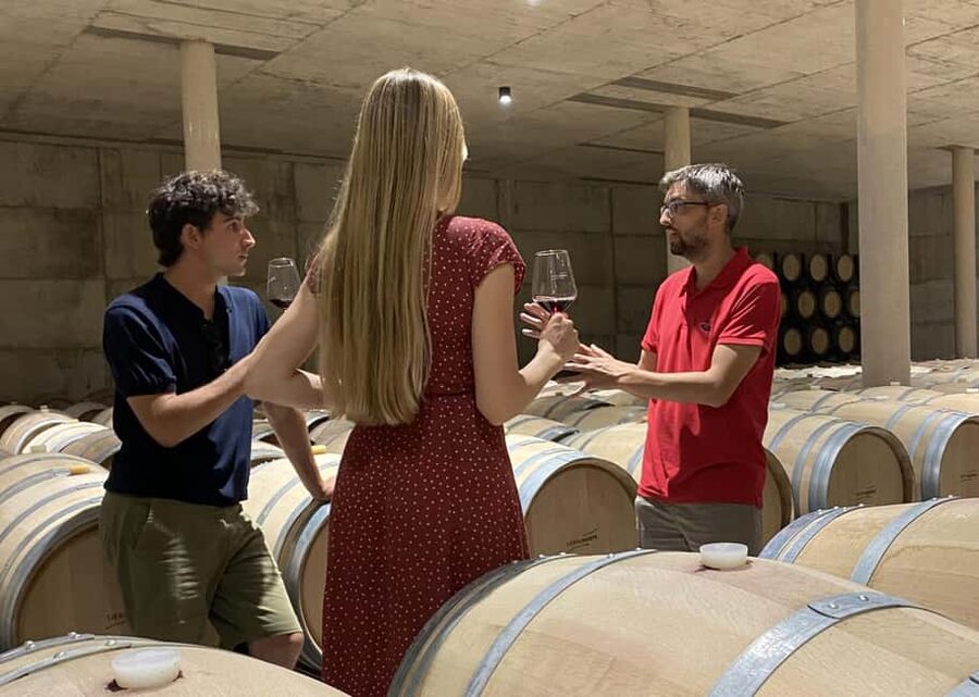 Small-Group Wine Tour from Valencia with Tastings Max 7 - The ride from Valencia sets the scene