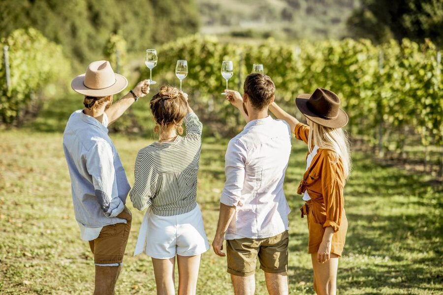 Sonoma Valley: Guided Winery Tour with Picnic Lunch - Three boutique wineries instead of one crowded tasting room