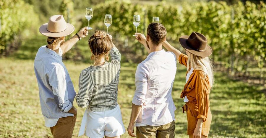 Sonoma Valley: Guided Winery Tour with Picnic Lunch - A seven-hour pace that leaves room for the valley