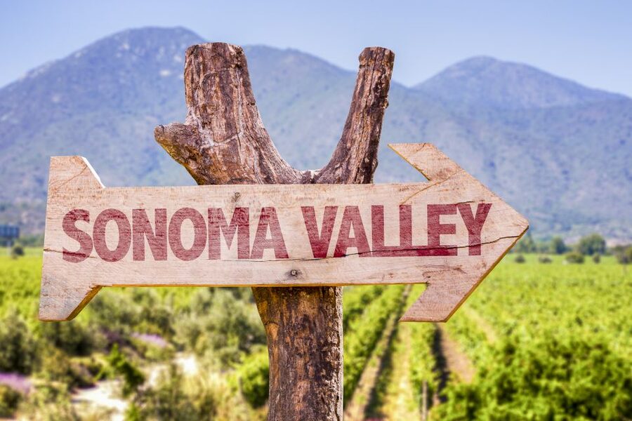 Sonoma Valley: Guided Winery Tour with Picnic Lunch - Who will enjoy this Sonoma Valley tour