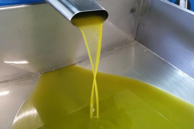 Sorrento Farm and Food Experience including Olive Oil, Limoncello, Wine tasting - Leaving central Sorrento for La Masseria