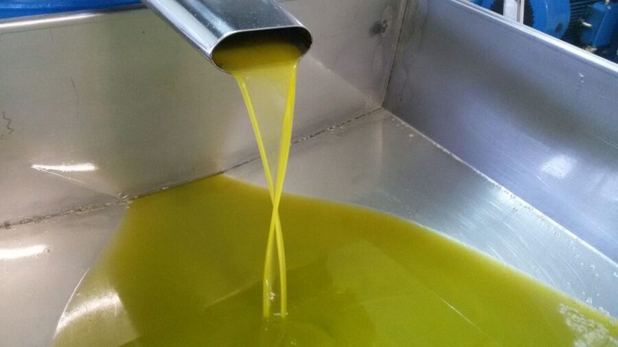 Sorrento: Lemon, Olive Oil and Wine Tasting Tour with Lunch - Key points at a glance