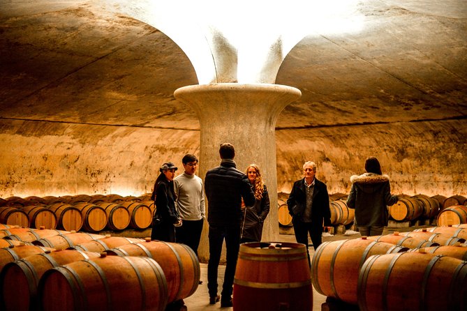 St-Emilion & Médoc Wine Day Tour: Chateaus, Tastings and Lunch - Why this Bordeaux wine tour covers so much