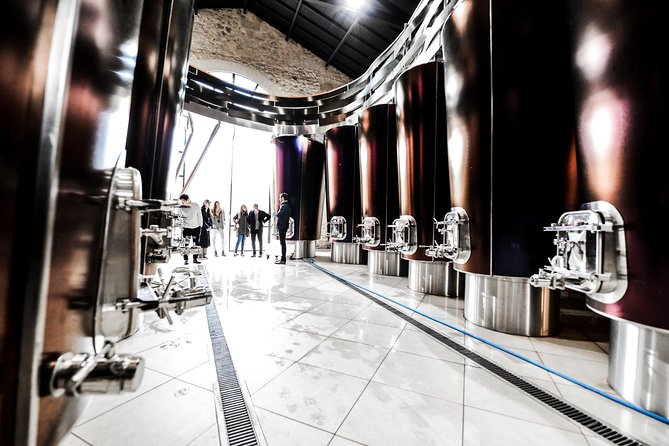 St-Emilion & Médoc Wine Day Tour: Chateaus, Tastings and Lunch - Who will enjoy this day most