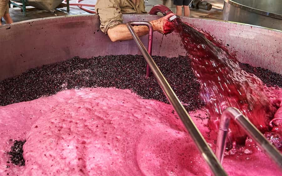 Stellenbosch: All-inclusive Private Wine Tour & Tastings - Why the guide matters on a private tour