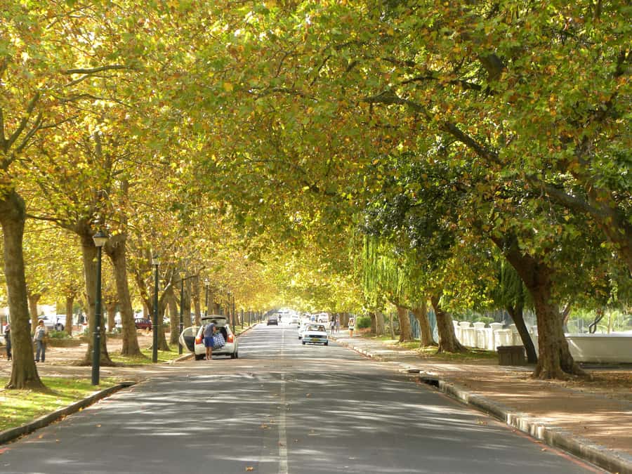 Stellenbosch: All-inclusive Private Wine Tour & Tastings - Who will enjoy this day most?