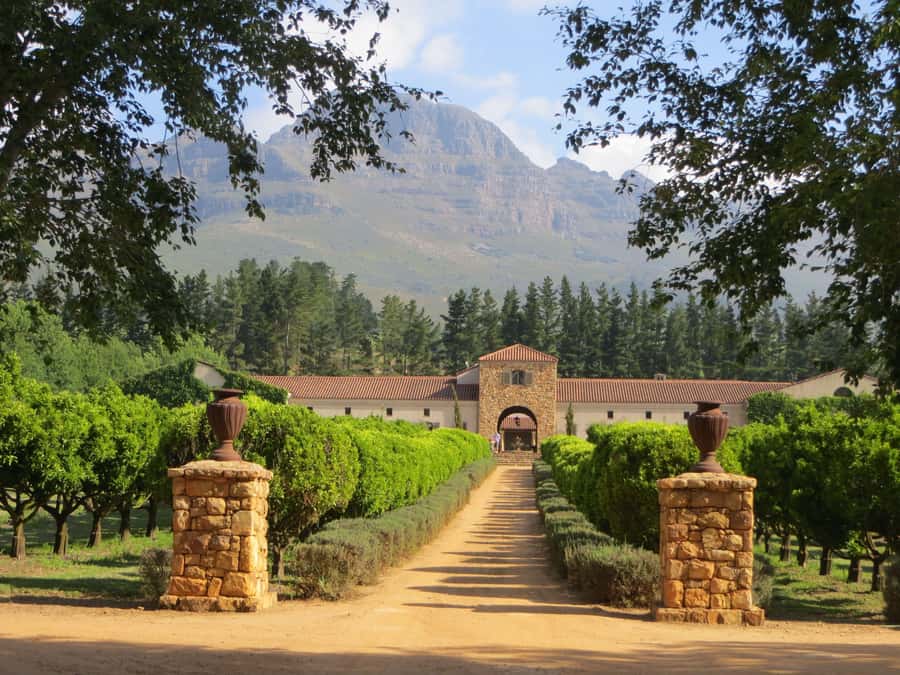 Stellenbosch: All-inclusive Private Wine Tour & Tastings - What the Stellenbosch introduction adds