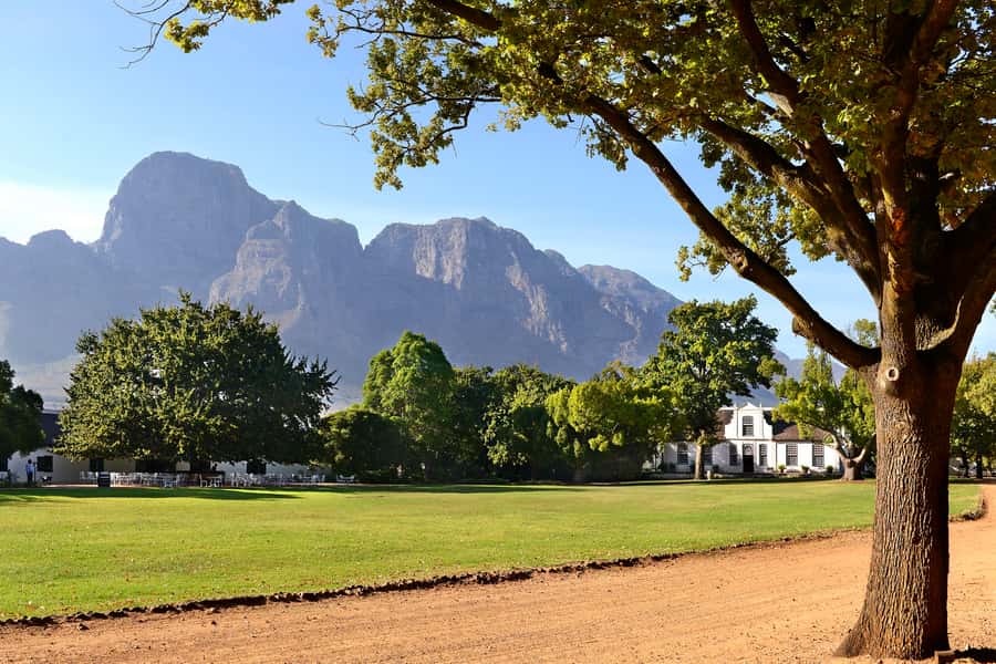 Stellenbosch: Eastern Route Hop-On Hop-Off Wine Tour - A flexible route through Stellenbosch wine country