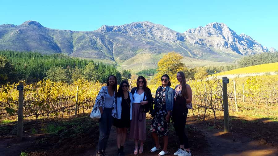 Stellenbosch: Eastern Route Hop-On Hop-Off Wine Tour - Helshoogte Pass adds the scenery